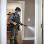 شركة مكافحة حشرات في كرداسة