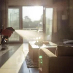 هل الشمس تقتل البق؟